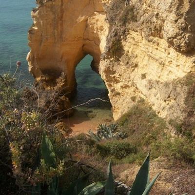 乐天堂体育app截图